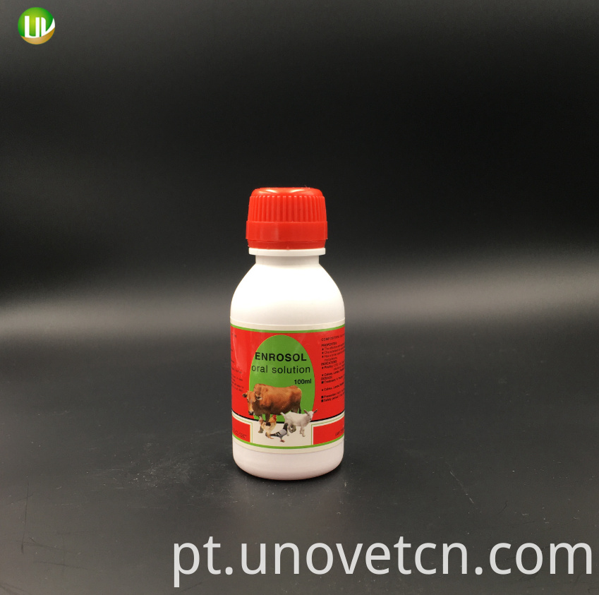 Solução oral de enrofloxacina Enrofloxacin Oral Solution